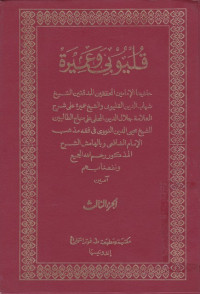 Image of Qulyubi wa 'Amirah Juz 3
