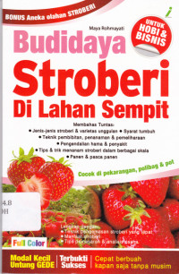 Image of Budidaya Stroberi di Lahan Sempit